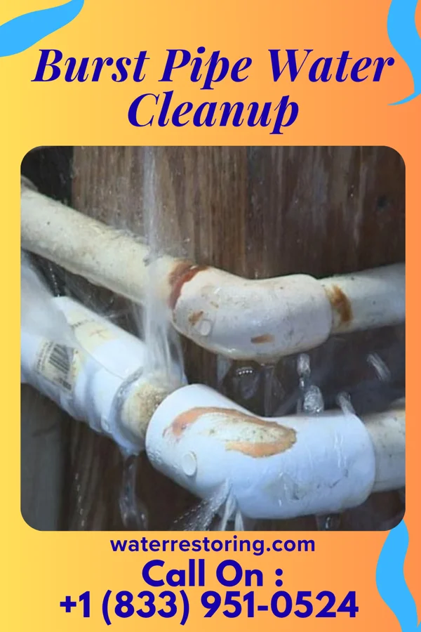 Burst Pipe Water Cleanup in Port Allegany, PA