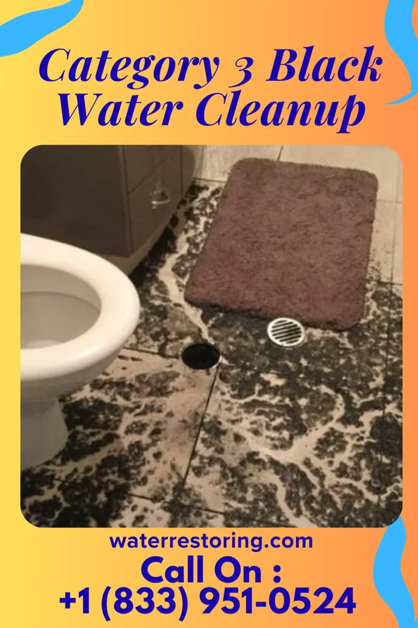 Category 3 Black Water Cleanup in Port Allegany, PA