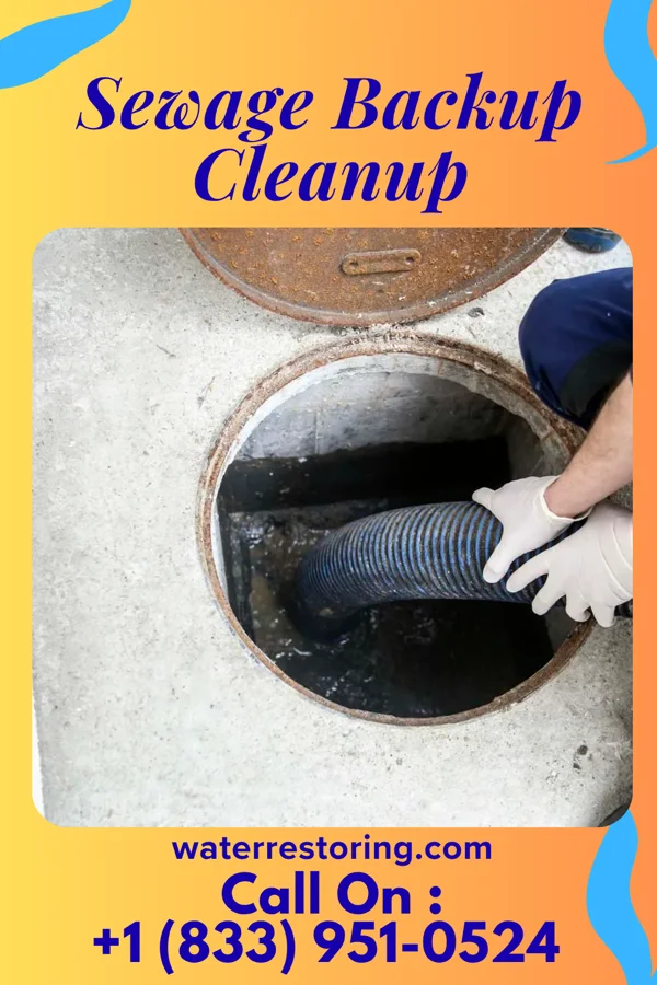 Sewage Backup Cleanup in Port Allegany, PA