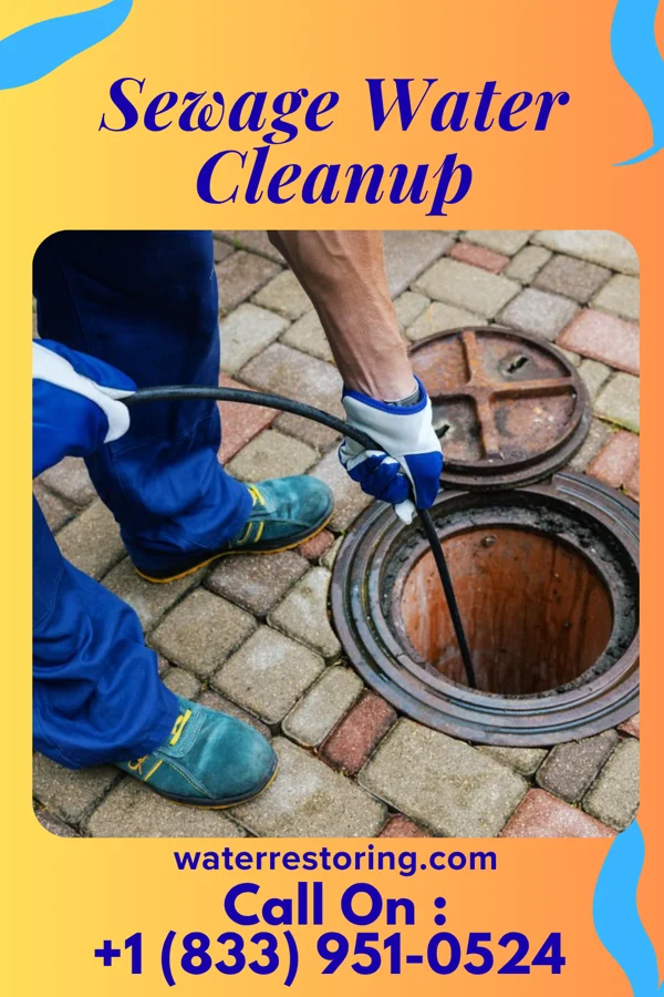 Sewage Water Cleanup in Port Allegany, PA
