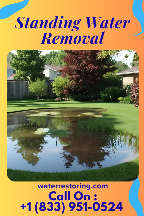 Standing Water Removal in Port Allegany, PA